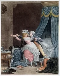 Die Schlecht Verteidigte Rose